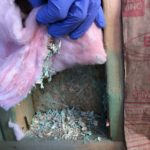 Insulation over unclean